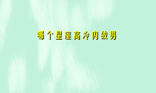 哪个星座高冷内敛男