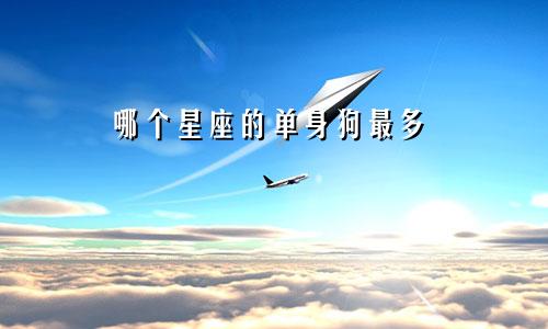 哪个星座的单身狗最多