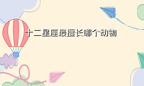 十二星座最擅长哪个动物