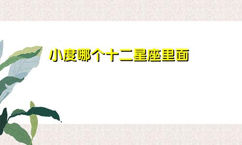 小度哪个十二星座里面