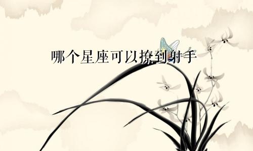 哪个星座可以撩到射手