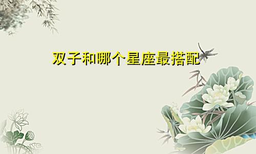 双子和哪个星座最搭配