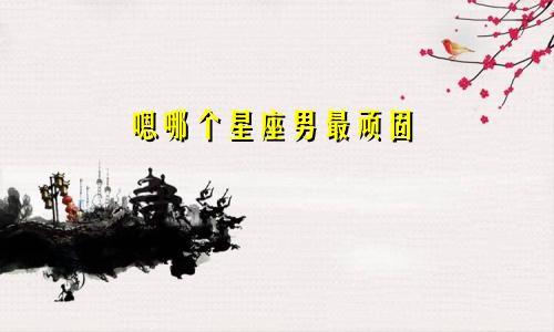 嗯哪个星座男最顽固