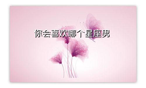 你会喜欢哪个星座男