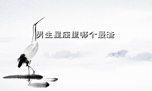 男生星座里哪个最渣