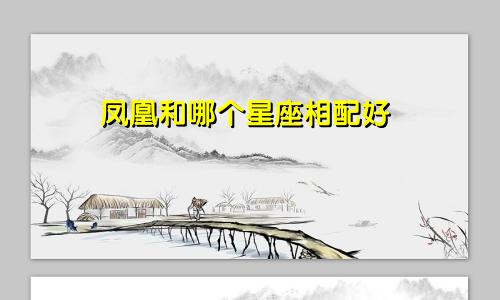 凤凰和哪个星座相配好