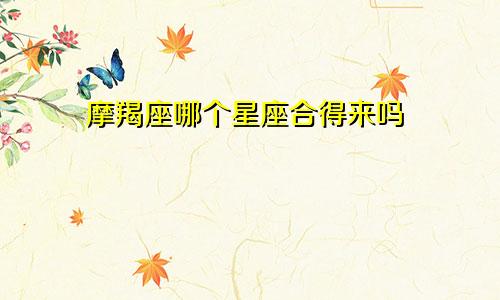 摩羯座哪个星座合得来吗