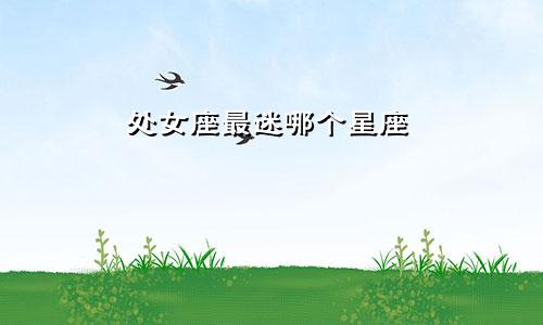处女座最迷哪个星座