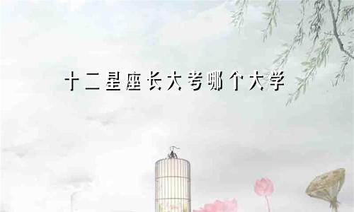 十二星座长大考哪个大学