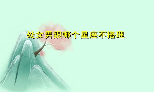 处女男跟哪个星座不搭理