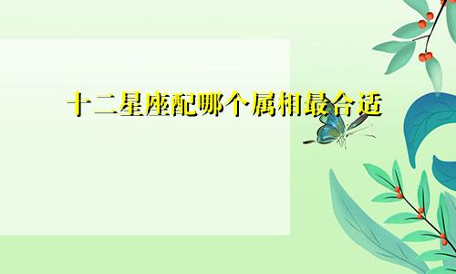 十二星座配哪个属相最合适