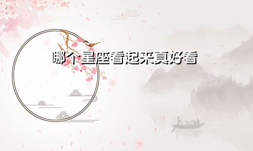 哪个星座看起来真好看