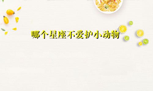 哪个星座不爱护小动物