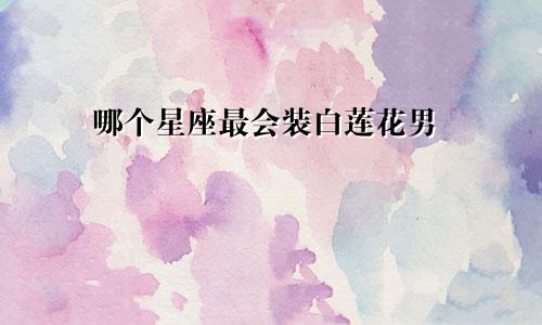 哪个星座最会装白莲花男