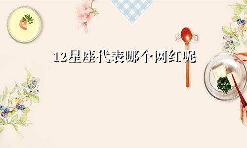 12星座代表哪个网红呢