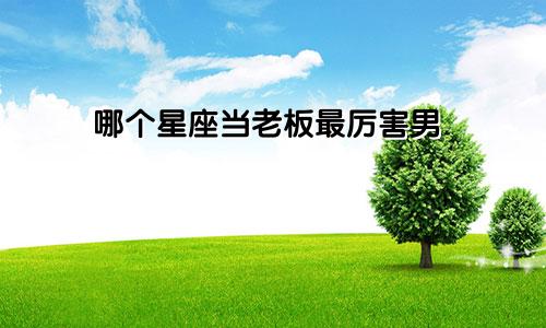 哪个星座当老板最厉害男