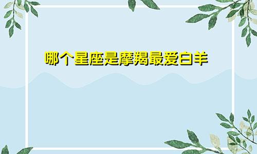 哪个星座是摩羯最爱白羊