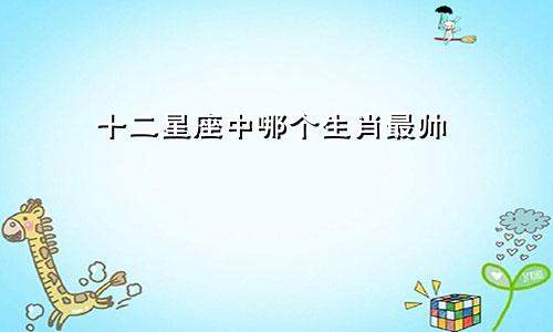 十二星座中哪个生肖最帅