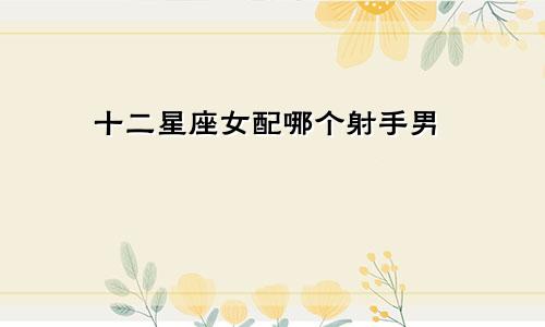 十二星座女配哪个射手男