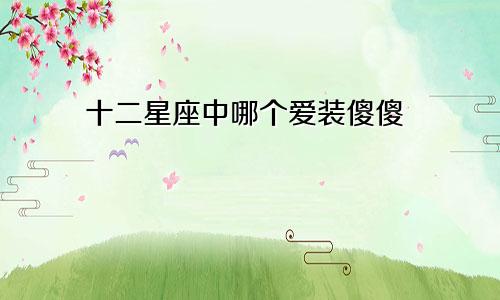 十二星座中哪个爱装傻傻