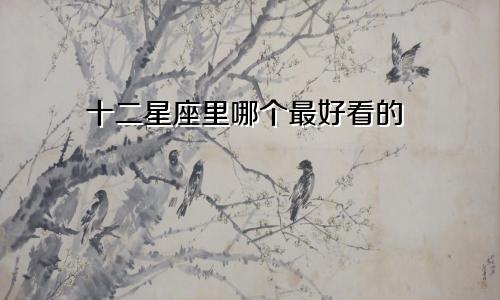 十二星座里哪个最好看的