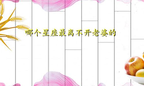 哪个星座最离不开老婆的