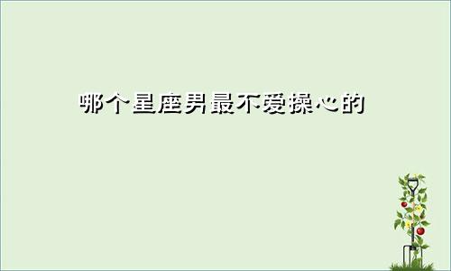 哪个星座男最不爱操心的