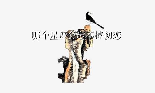 哪个星座会忘不掉初恋