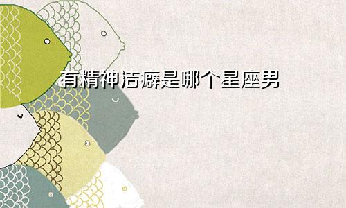 有精神洁癖是哪个星座男