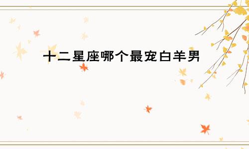 十二星座哪个最宠白羊男