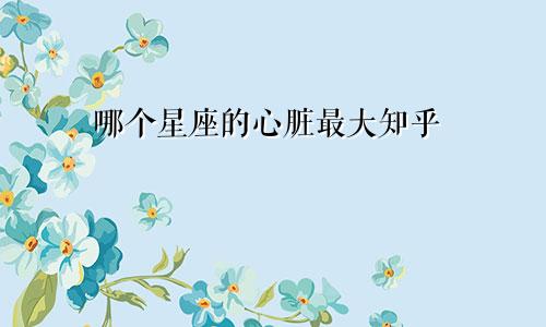 哪个星座的心脏最大知乎