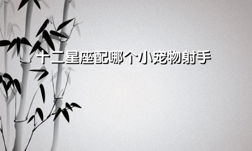 十二星座配哪个小宠物射手