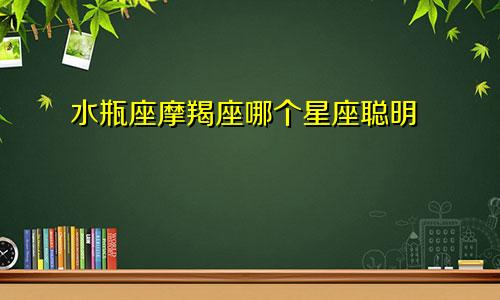 水瓶座摩羯座哪个星座聪明
