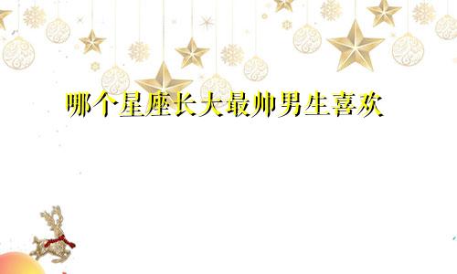 哪个星座长大最帅男生喜欢