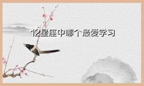 12星座中哪个最爱学习