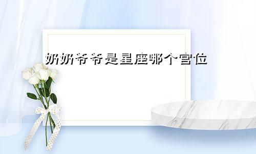 奶奶爷爷是星座哪个宫位