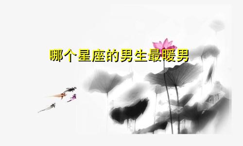 哪个星座的男生最暖男