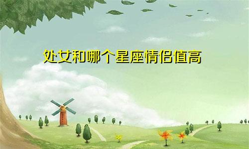 处女和哪个星座情侣值高