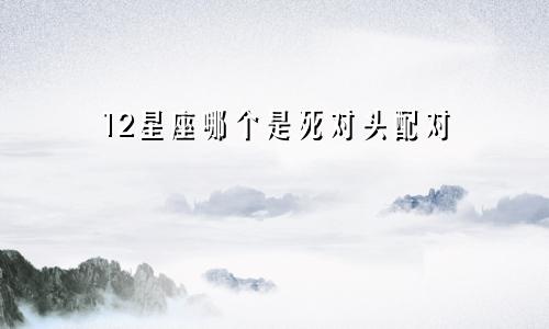 12星座哪个是死对头配对