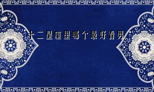 十二星座里哪个最好看男
