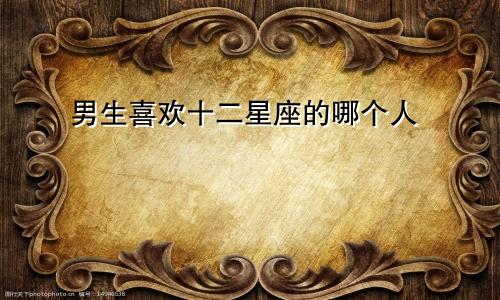 男生喜欢十二星座的哪个人