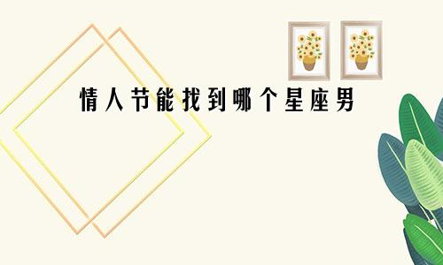 情人节能找到哪个星座男
