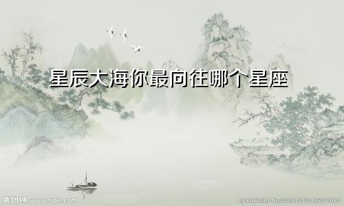 星辰大海你最向往哪个星座