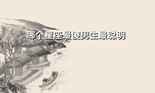 哪个星座最傻男生最聪明