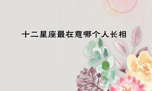 十二星座最在意哪个人长相