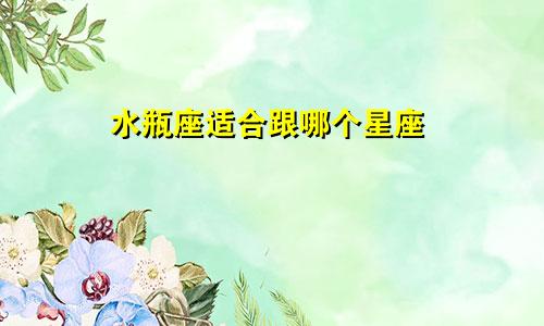 水瓶座适合跟哪个星座