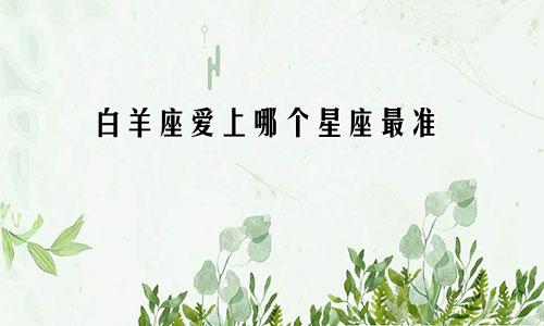 白羊座爱上哪个星座最准