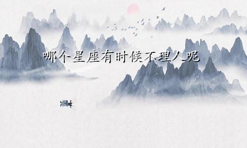 哪个星座有时候不理人呢