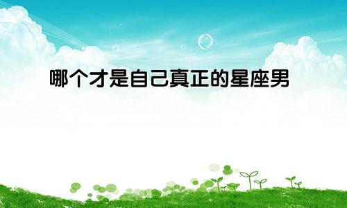 哪个才是自己真正的星座男