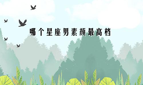 哪个星座男素颜最高档